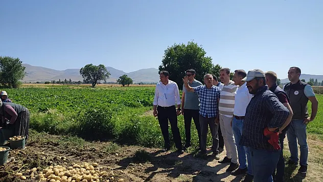 Patateste aşırı yağışlardan dolayı rekolte kaybı yaşandı