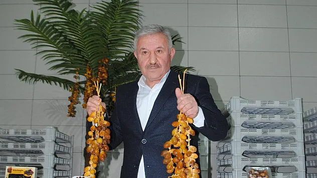 Pazar tezgahından Türkiye birinciliğine