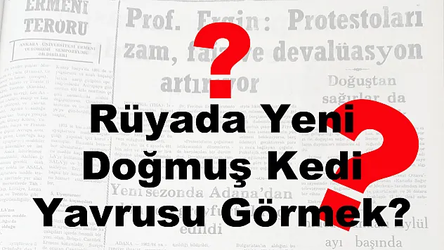 Rüyada Yeni Doğmuş Kedi Yavrusu Görmek?