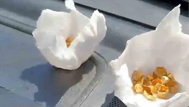 Sahte Altın Dişle Vurgun Yapan Çete Çökertildi