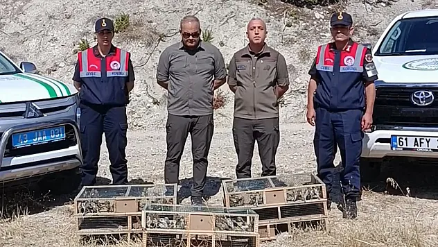 Saka Kuşu Avına Gitti, Avlandı
