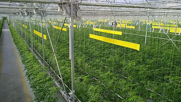 Sandıklı’da Su Seferberliği Devam Ediyor