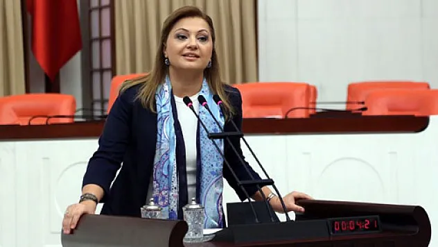 'Sayın Özkaya, sadece 1 ay asgari ücretle geçinsin de görelim!'