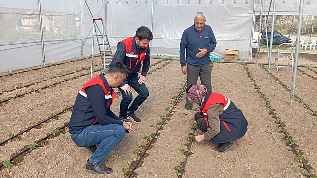 Sera Yerlerinde Üreticiler Bilgilendiriliyor