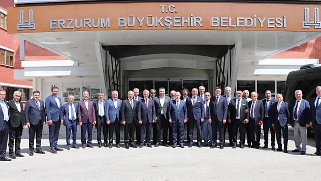 Serteser, Bir Dizi Temasta Bulundu