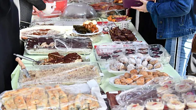 Sokak hayvanları için kermes – Kocatepe Gazetesi