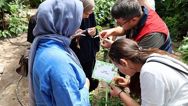 Stajyer Öğrenciler Afyonkarahisar Tıbbi Ve Aromatik Bitkiler Merkezi'ni Gezdi