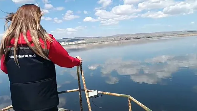 Su Ürünleri Kaynakları Aralıksız Denetleniyor