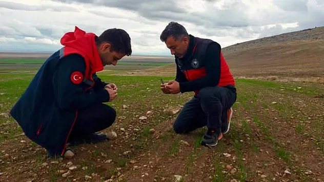 Sultandağı İlçesinde Bitki Sağlığı Kontrolleri Tamamlandı