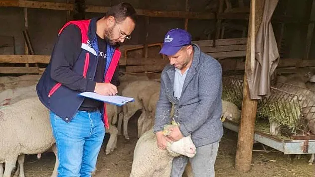 Sürdürülebilir Koyun Projesi Çerçevesinde İşletme Denetimleri Sürüyor