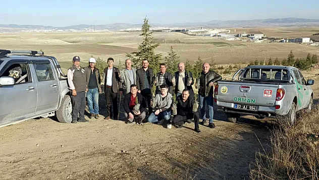 Susuz Boğazı'nda Yeşil Seferberlik