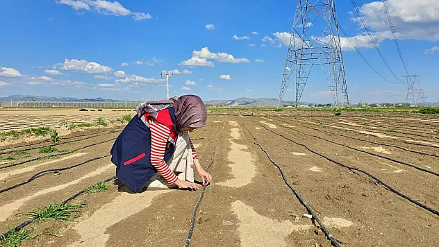 Tarım Arazilerinde Kontroller Sürüyor
