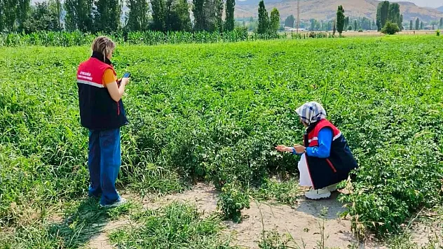 Tarım arazilerinin korunması çalışmaları sürüyor