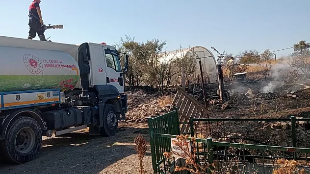 Tarlada Başlayan Yangın Rüzgarın Etkisiyle Seraya Sıçradı