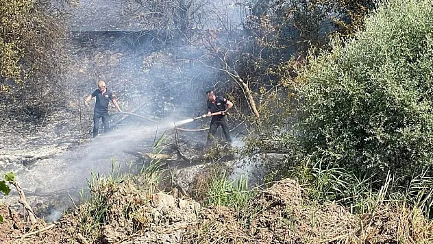 Taşınburnu Mevkiindeki Orman Yangında Soğutma Çalışmaları Sona Erdi