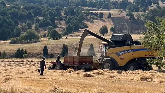 Tavşanlı'da Çiftçiler Emeklerinin Karşılığını Almanın Heyecanını Yaşıyor