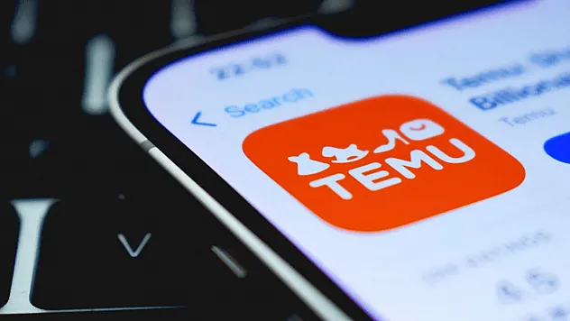 Temu Türkiye'den 'İthalatçı Şirket' Formülü