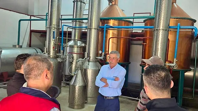 Tıbbi Ve Aromatik Bitki Faaliyetleri Geliştiriliyor