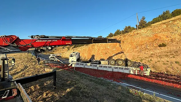 Tır devrildi, yol kırmızıya boyandı