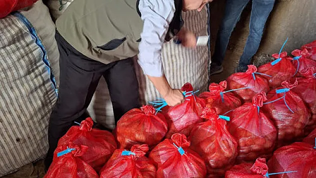 Tohumluk patateslerin kontrolü yapıldı