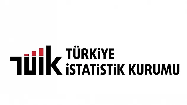 Trafiğe kayıtlı araç sayısı 249 bin 385 olarak açıklandı