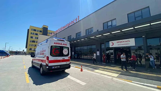 Trafik Işıklarında Ekmek Parasını Kazanıyordu, Kazada Can Verdi