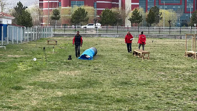 Uluslararası Düzeyde Alan Ve Enkaz Arama Köpekleri Sınavı Afyonkarahisar'da Başladı