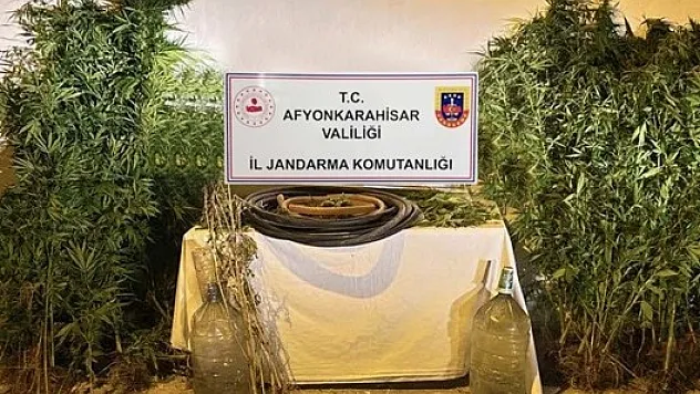 Uyuşturucu tacirleri fotokapanla yakaladı