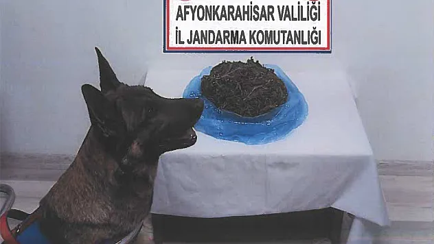 Uyuşturucu tacirleri suçüstü yakalandı