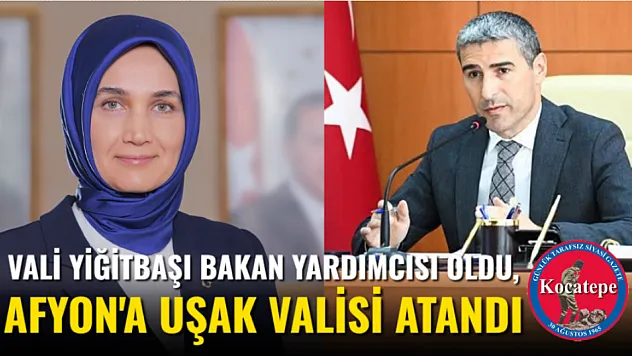 Vali Yiğitbaşı Bakan Yardımcısı Oldu, Afyon'a Uşak Valisi Atandı