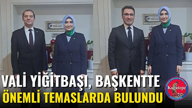 Vali Yiğitbaşı, Başkentte Önemli Temaslarda Bulundu