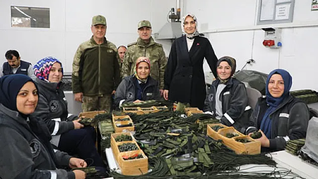 Vali Yiğitbaşı boş durmuyor