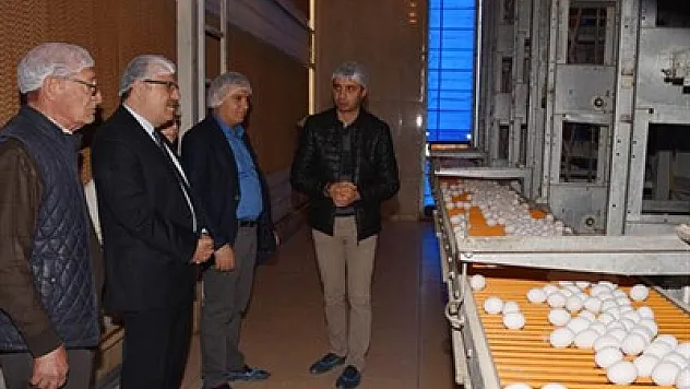 Vali yumurta tesisini inceledi – Kocatepe Gazetesi