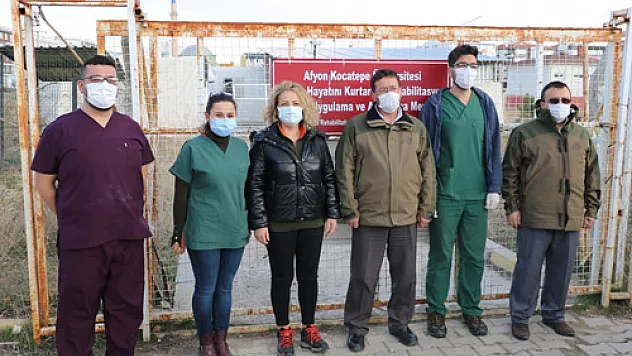 Yaban hayvanları doğaya salındı
