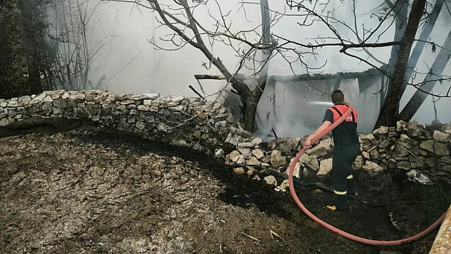 Yangında 100 Tavuk Telef Oldu