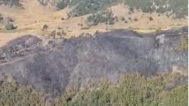 Yangında Yaklaşık 5 Hektarlık Alan Zarar Gördü