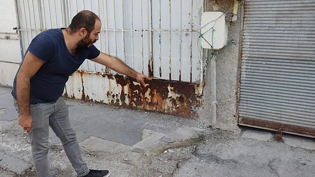 Yaşadıkları apartmanda fareler gören vatandaşlar yetkililere seslendi