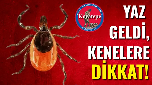 Yaz Geldi, Kenelere Dikkat!