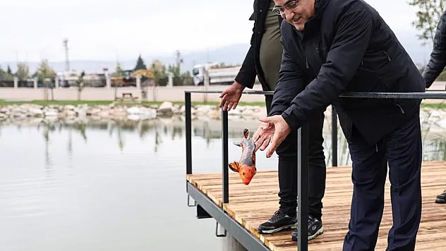 Yedigöller’e Koi balığı bırakıldı