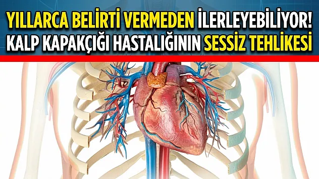 Yıllarca Belirti Vermeden İlerleyebiliyor! Kalp Kapakçığı Hastalığının Sessiz Tehlikesi