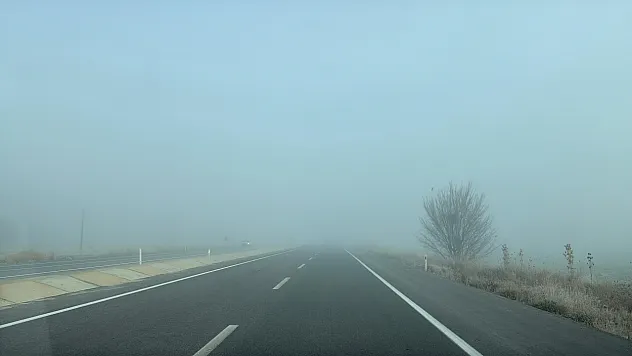 Yoğun Sis Yolu Kapattı