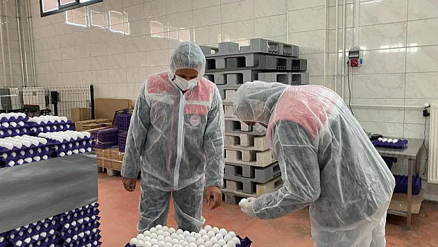 Yumurta Ürünlerinden Numuneler Alındı