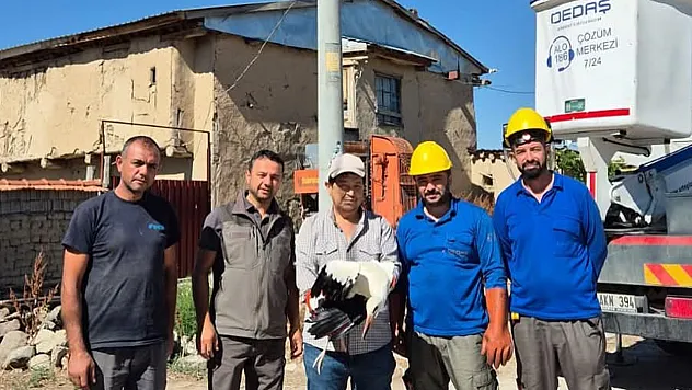Yuvasına Takılı Kalan Leylek Böyle Kurtarıldı