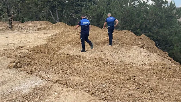 Zabıta Doğa Katliamına 'Dur' Dedi