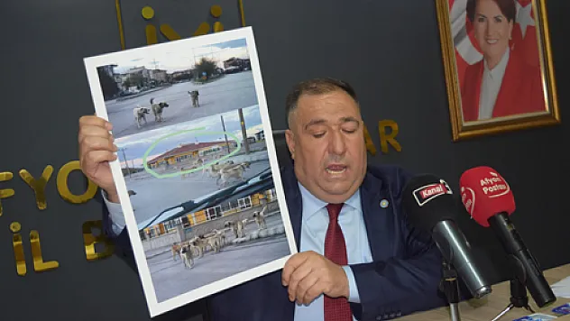'Zeybek bizi eleştirmekten görevlerini yapamıyor”
