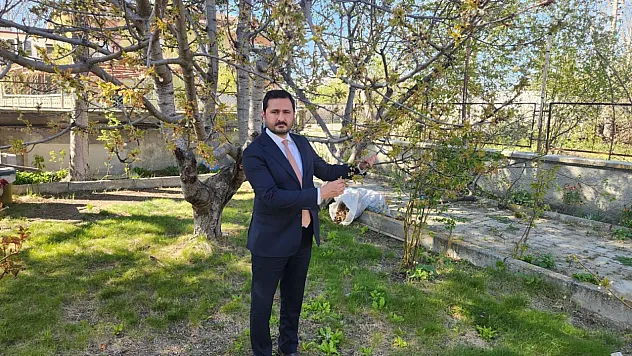 Zirai Don Bilançosu... Rekoltede Büyük Kayıp