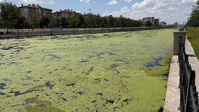 Bu Görüntü Afyon'a Yakışmıyor!