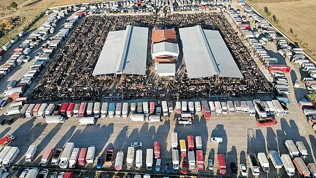 Çayırbağ Hayvan Pazarı Önlem Amaçlı Kapatıldı