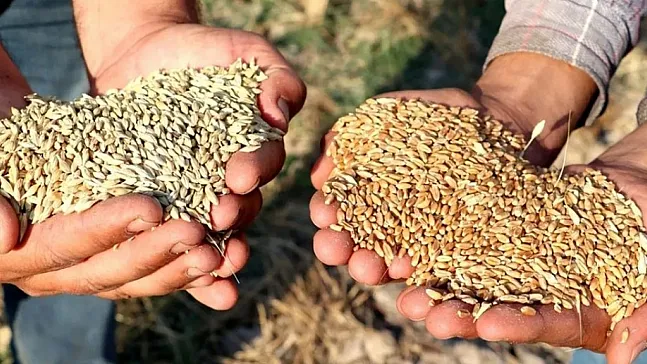 Tarihi Not Edin: 5 Ekim Saat 12.00'de Başlıyor!