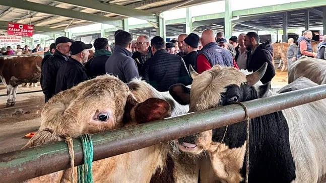 Tavşanlı Hayvan Pazarında Kurbanlık Hareketliliği